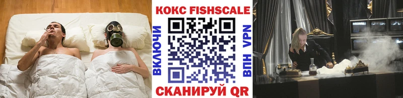 Кокаин FishScale  дарнет шоп  Лаишево 