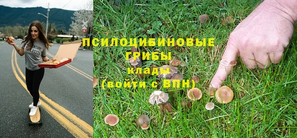 мет Алзамай