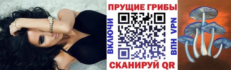 где найти наркотики Лаишево Галлюциногенные грибы ЛСД